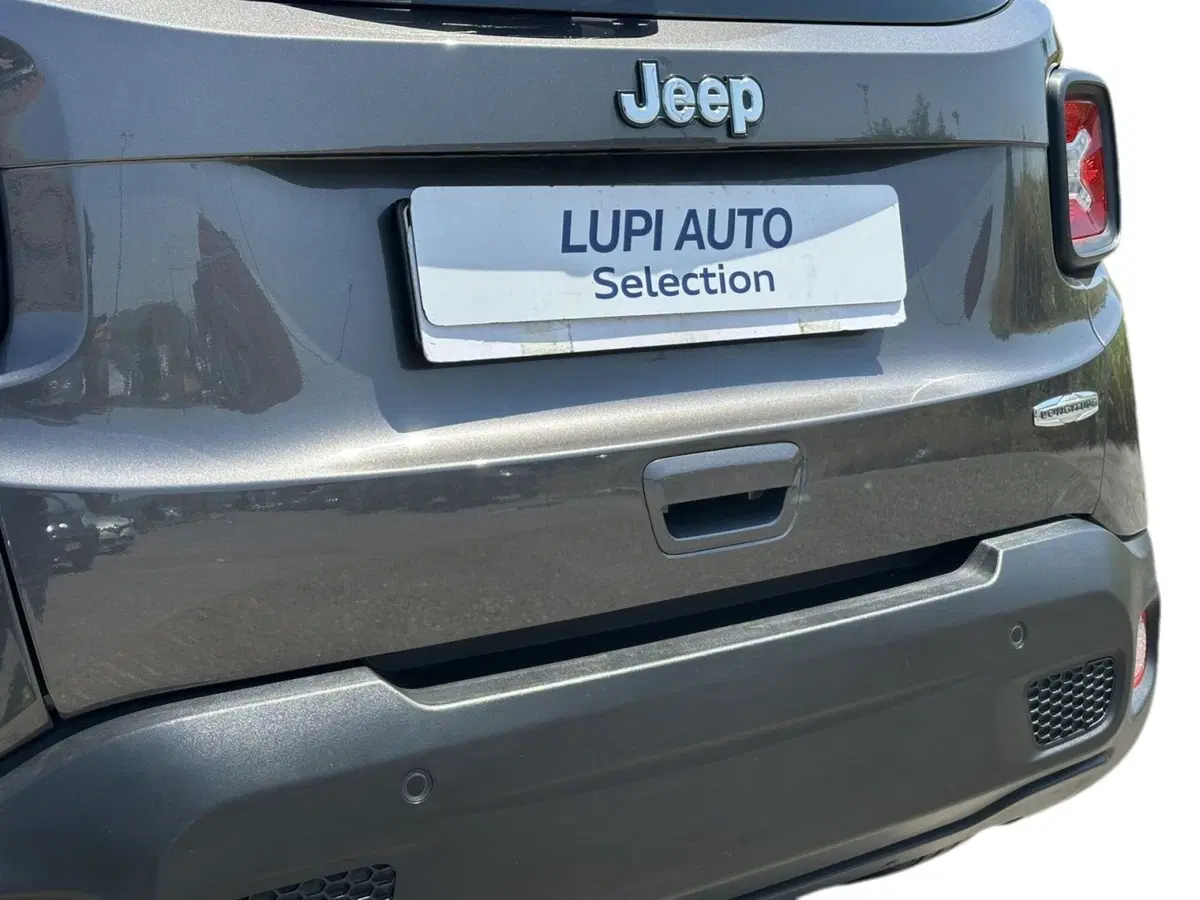 Jeep Renegade usata a Pistoia (15)