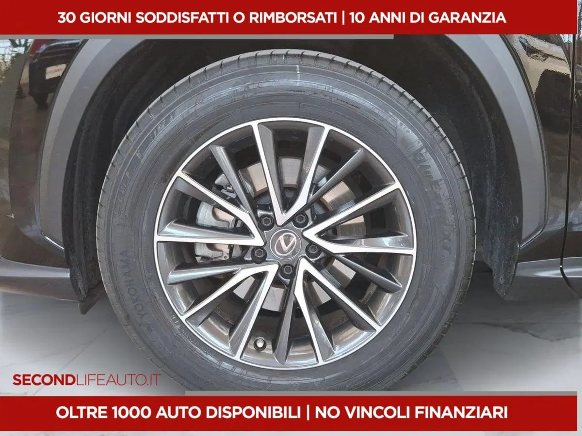 Lexus NX usata a Roma (14)