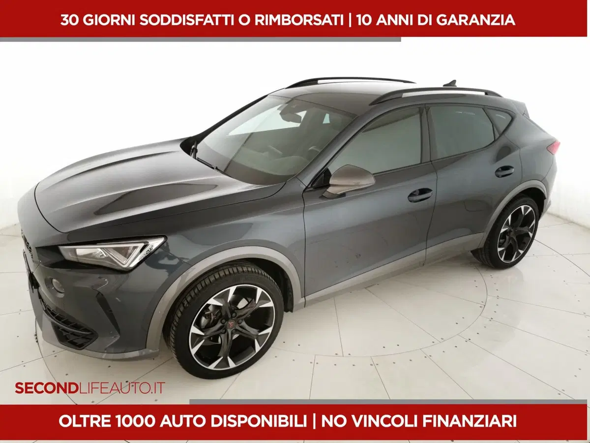 Cupra Formentor usata a Chieti (16)