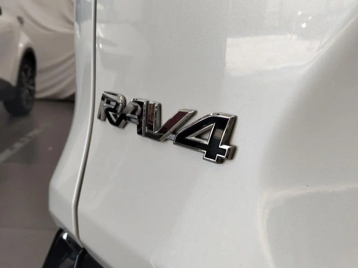 Toyota Rav4 usata a Roma (14)