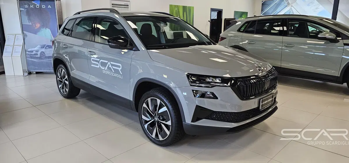 Skoda Karoq nuova a Livorno (6)