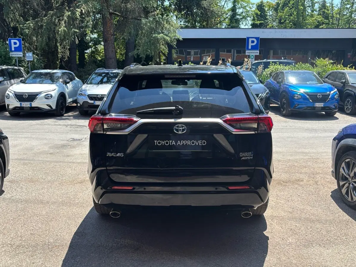 Toyota Rav4 usata a Forlì-Cesena (4)