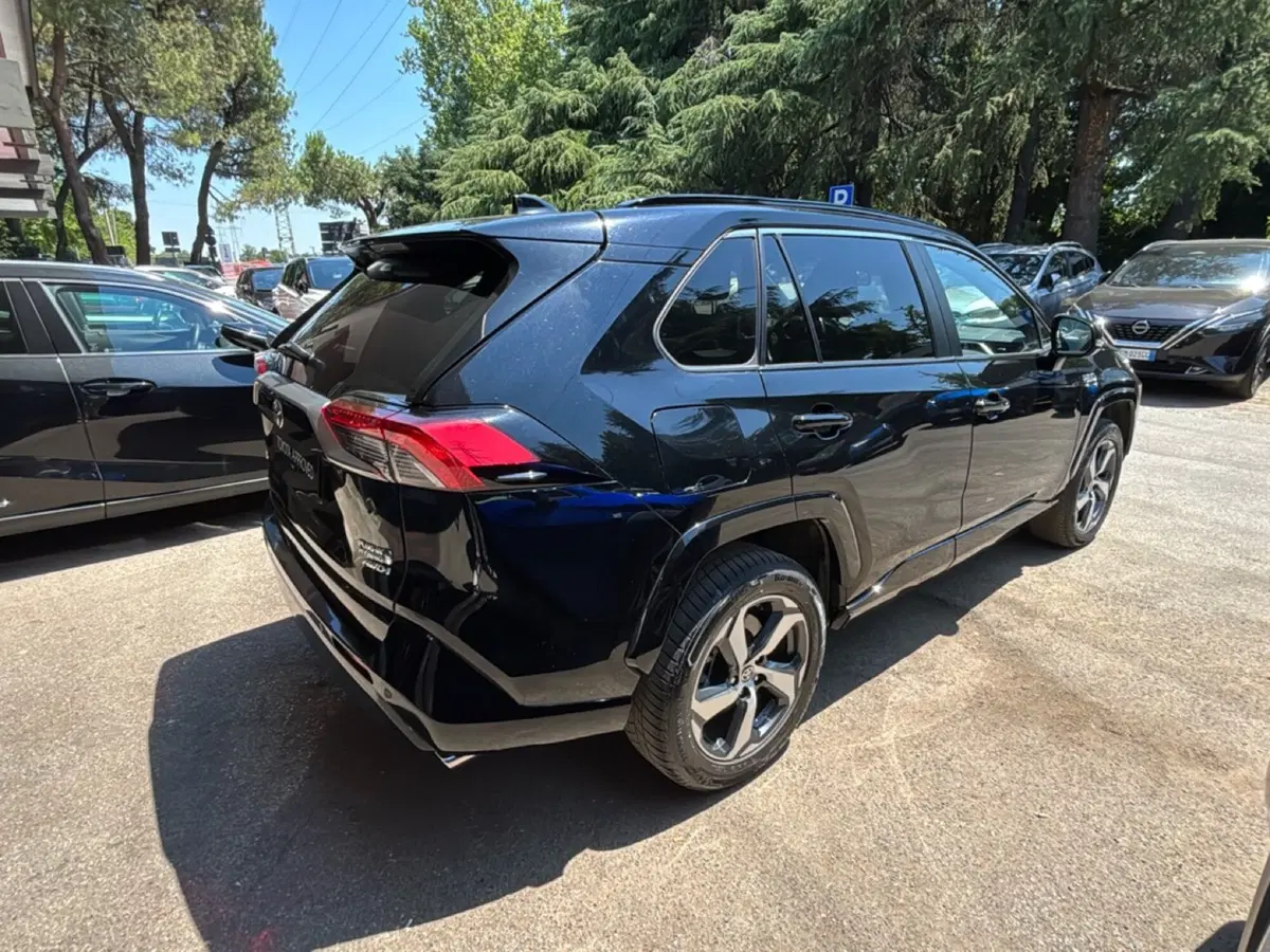 Toyota Rav4 usata a Forlì-Cesena (6)