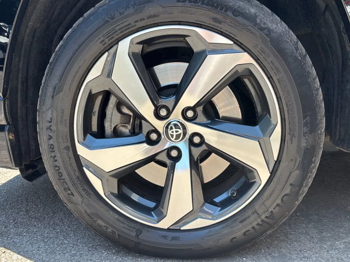 Toyota Rav4 usata a Forlì-Cesena (7)