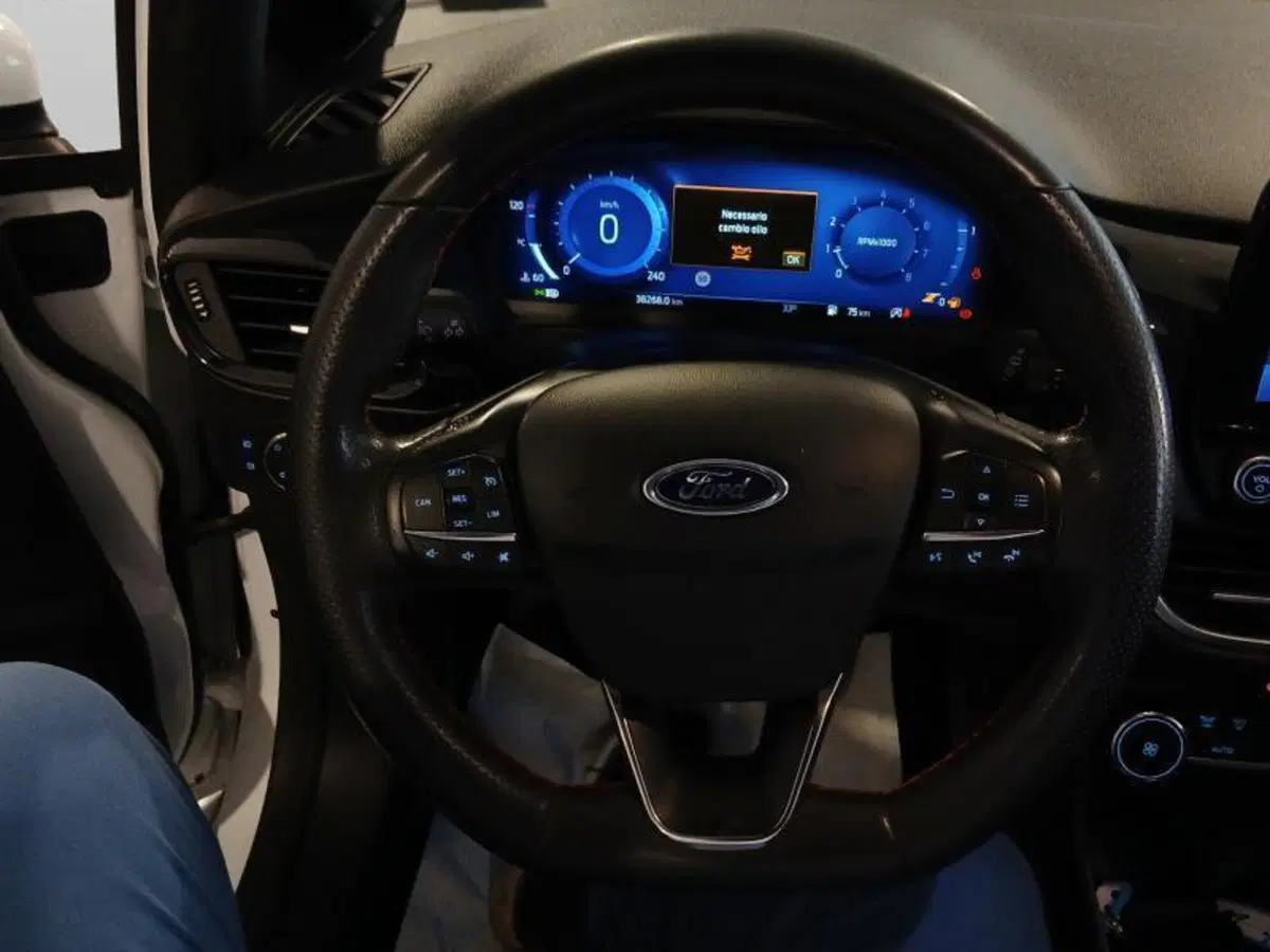 Ford Fiesta usata a Genova (14)