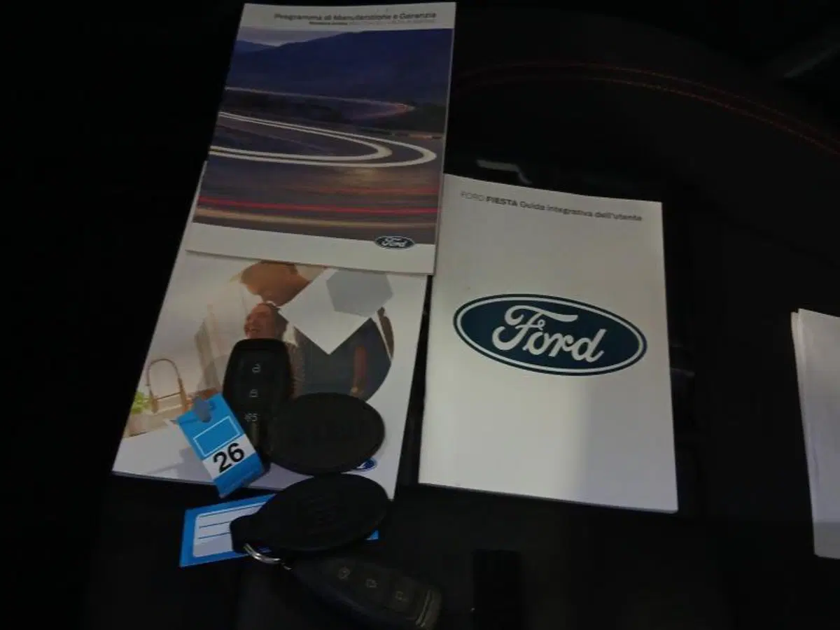 Ford Fiesta usata a Genova (20)