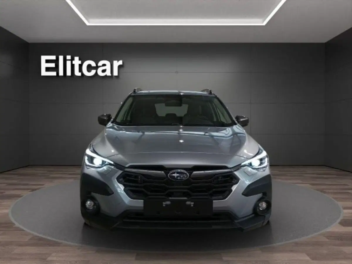 Subaru Crosstrek usata a Novara (2)