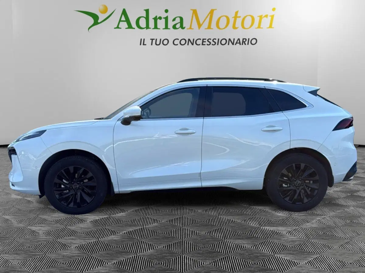 Forthing Friday usata a Pordenone (2)