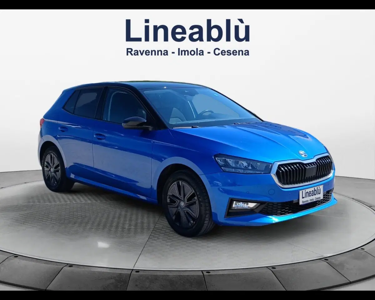 Skoda Fabia usata a Ravenna (7)