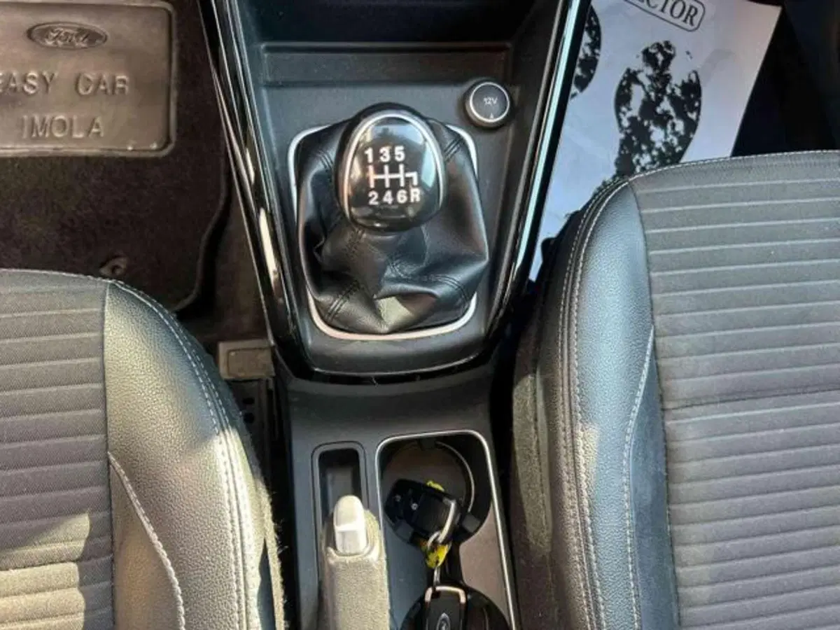 Ford EcoSport usata a Bologna (12)