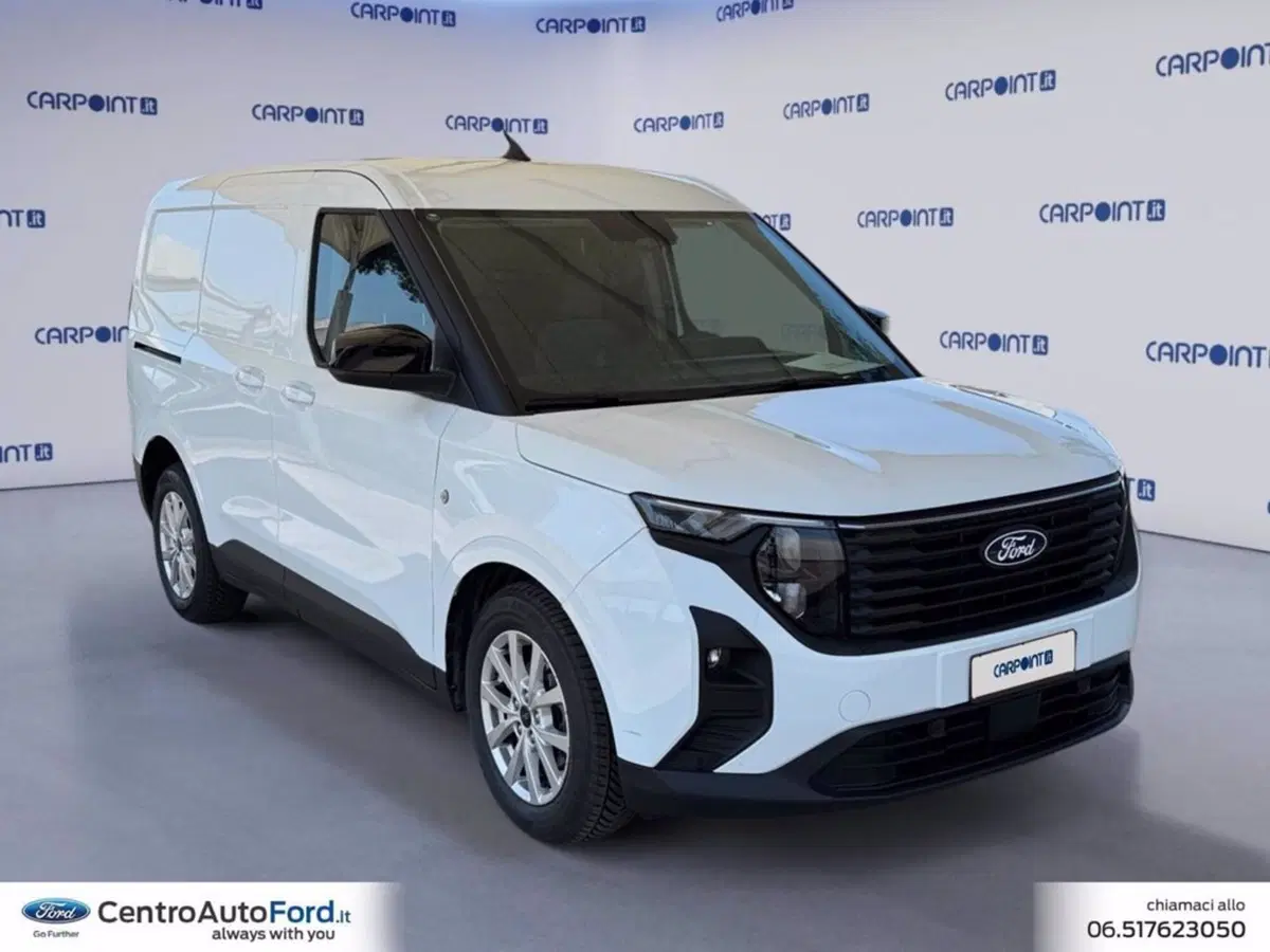 Ford Transit Courier Furgone usata a Roma (7)