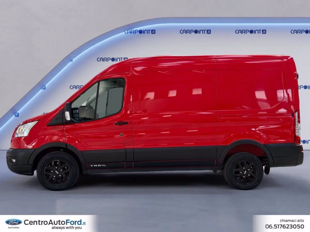 Ford Transit Furgone usata a Roma (2)