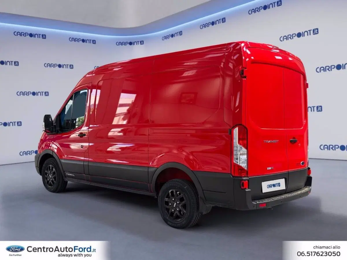 Ford Transit Furgone usata a Roma (3)