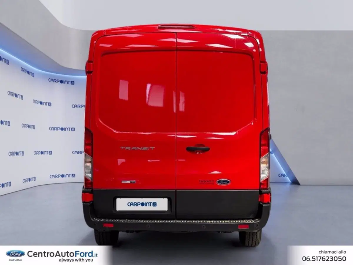 Ford Transit Furgone usata a Roma (4)