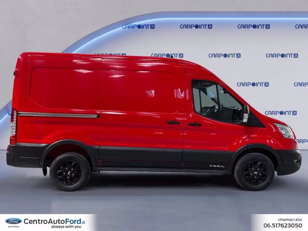 Ford Transit Furgone usata a Roma (6)