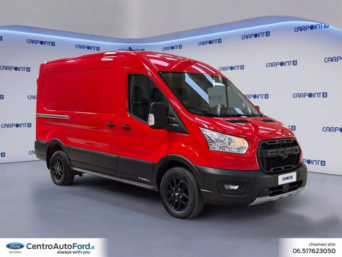 Ford Transit Furgone usata a Roma (7)