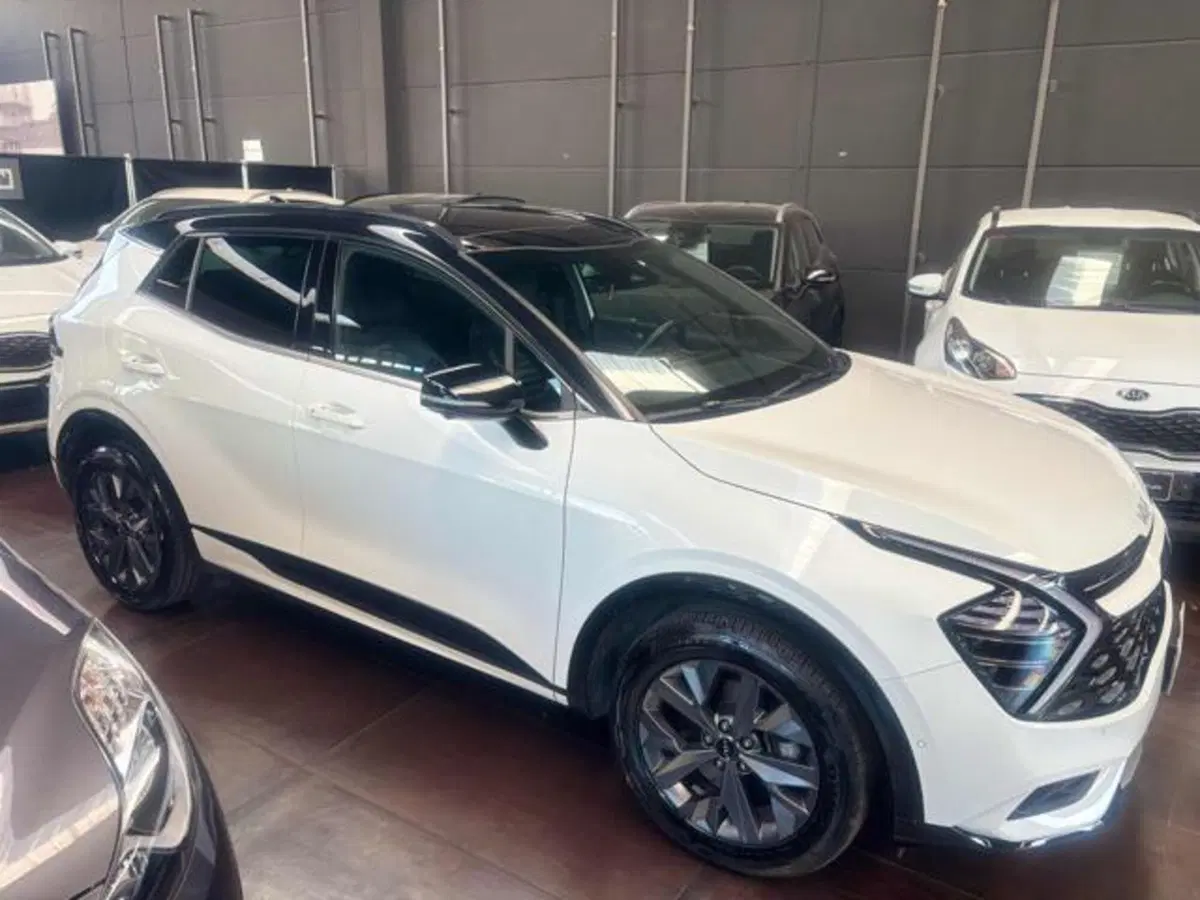 Kia Sportage usata a Pesaro-Urbino