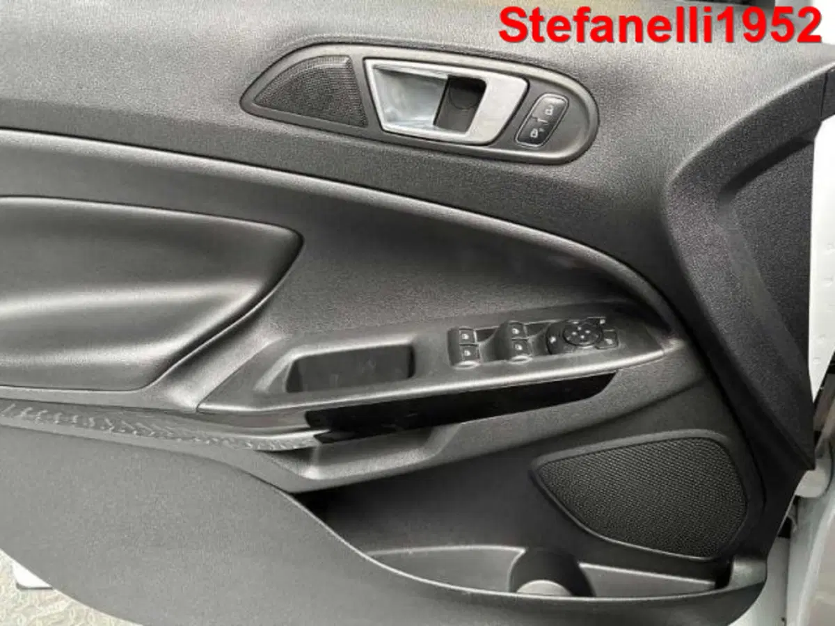 Ford EcoSport usata a Bologna (10)