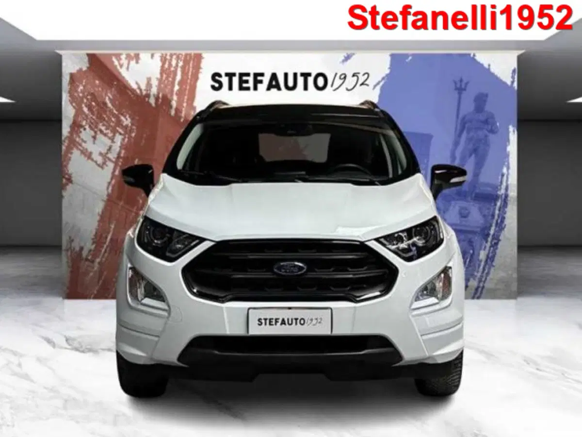 Ford EcoSport usata a Bologna (2)