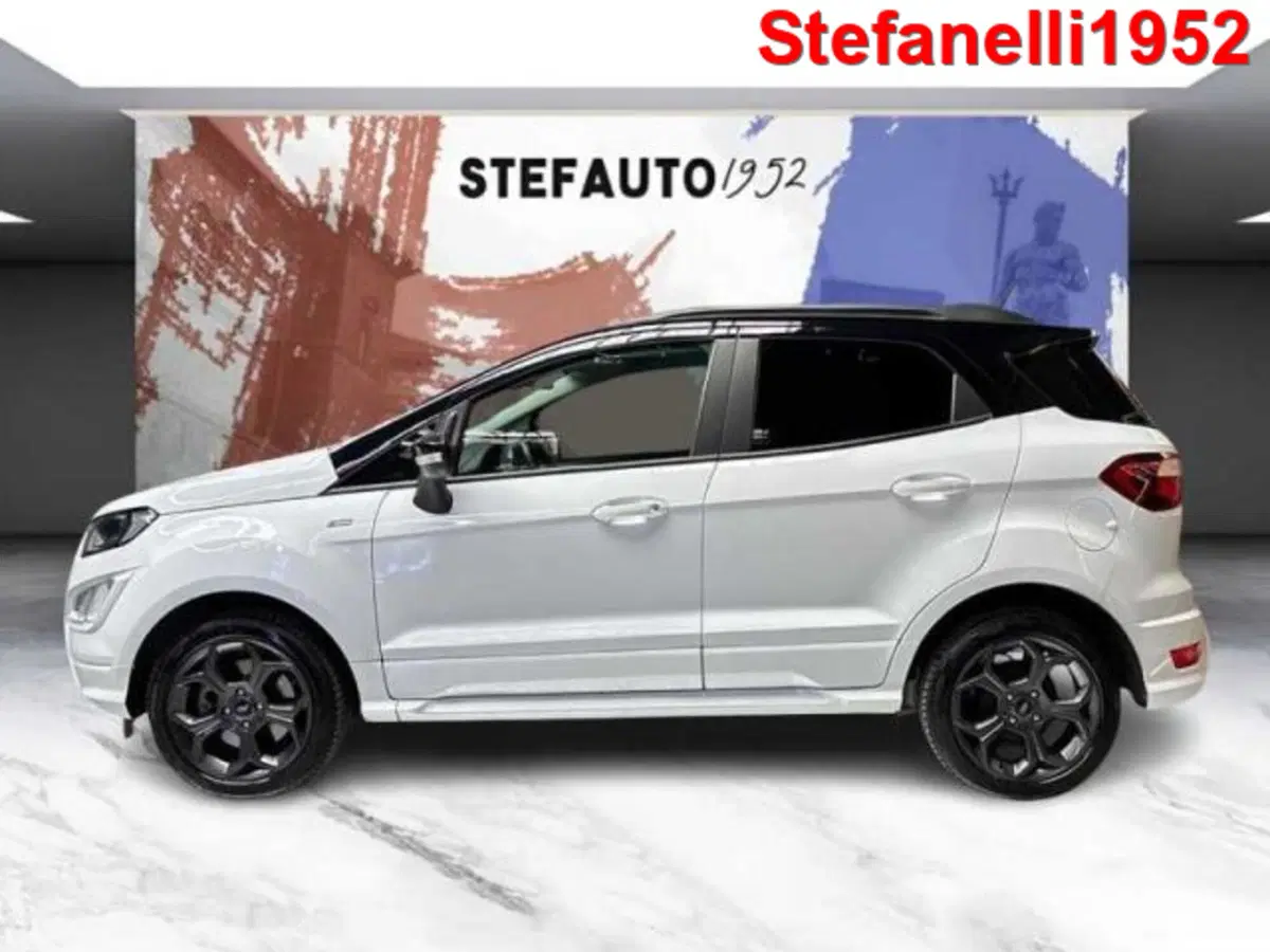 Ford EcoSport usata a Bologna (4)