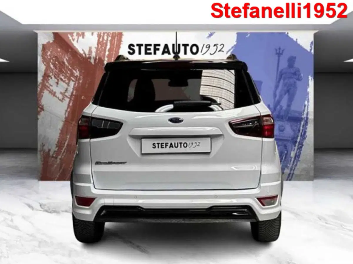 Ford EcoSport usata a Bologna (6)