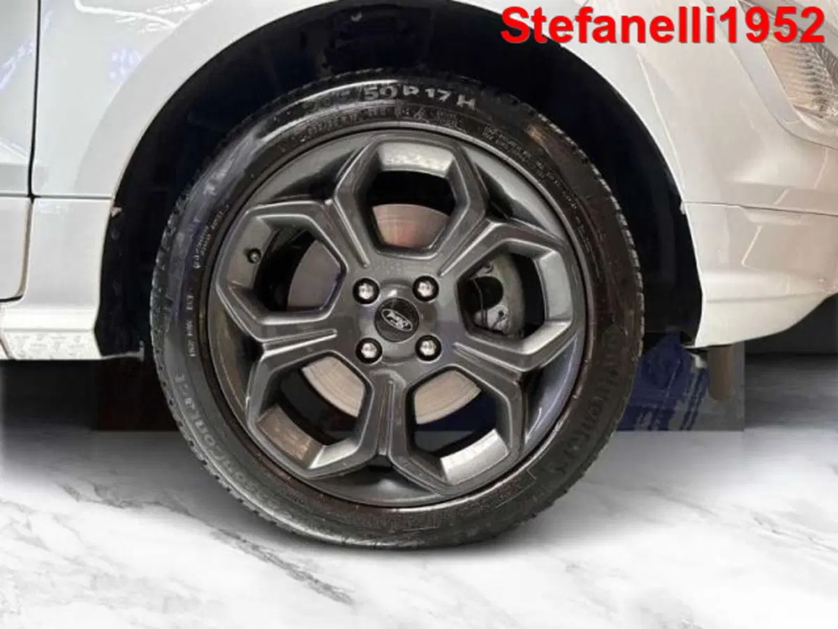 Ford EcoSport usata a Bologna (8)
