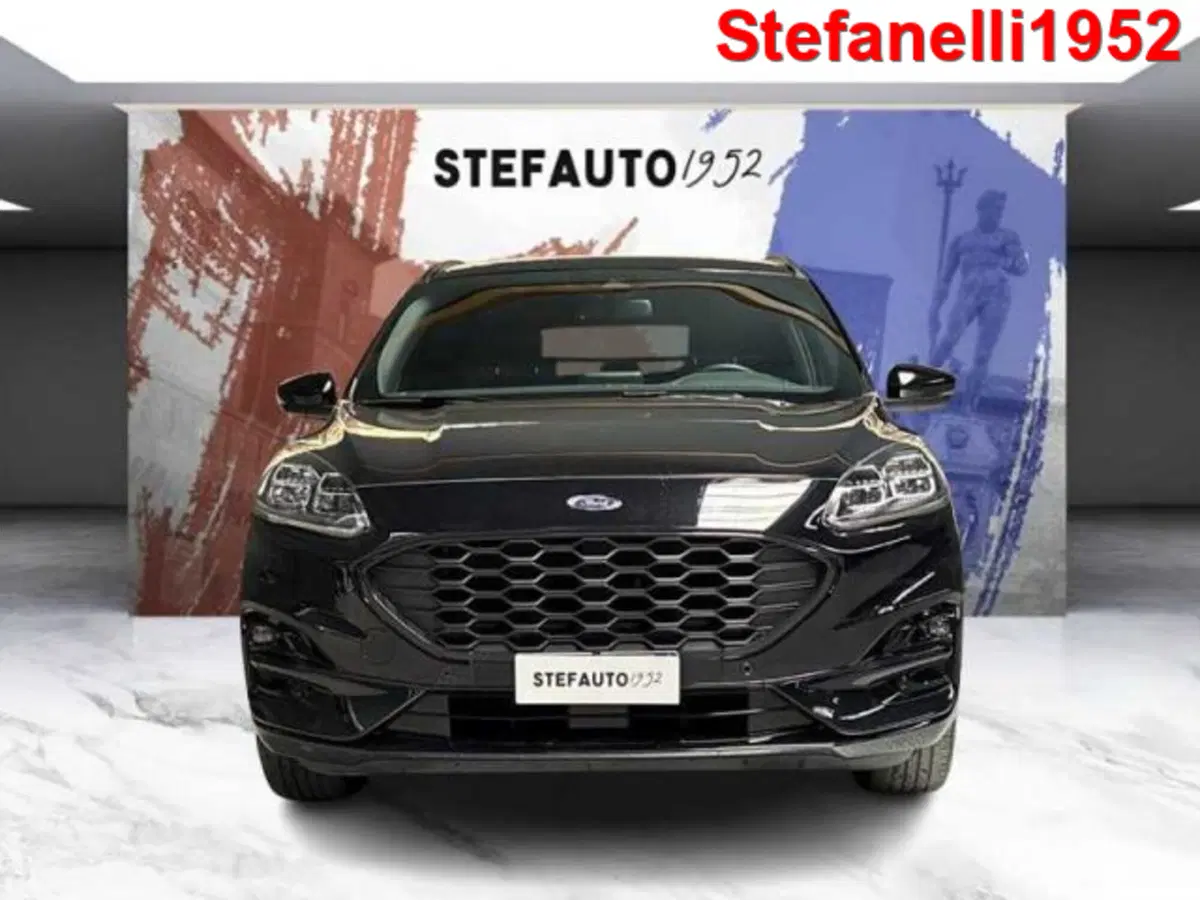Ford Kuga usata a Bologna (2)