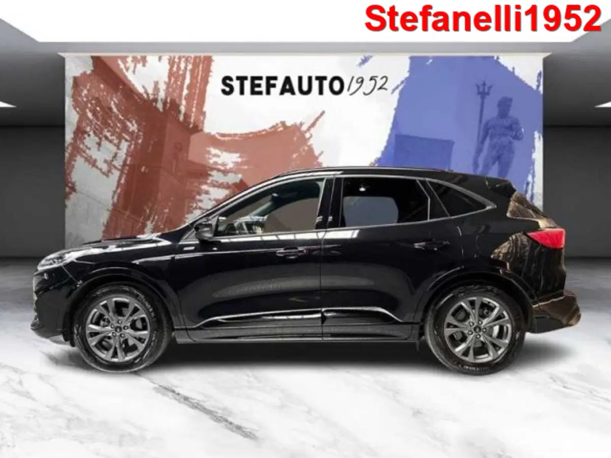 Ford Kuga usata a Bologna (4)