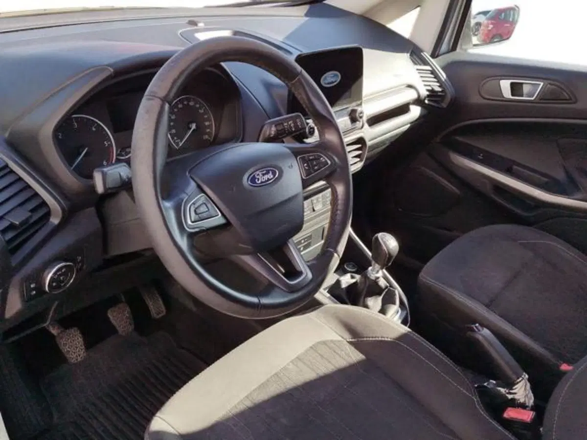 Ford EcoSport usata a Sassari (6)