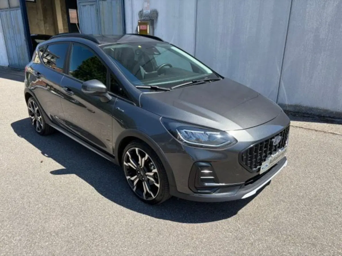 Ford Fiesta usata a Lodi (3)