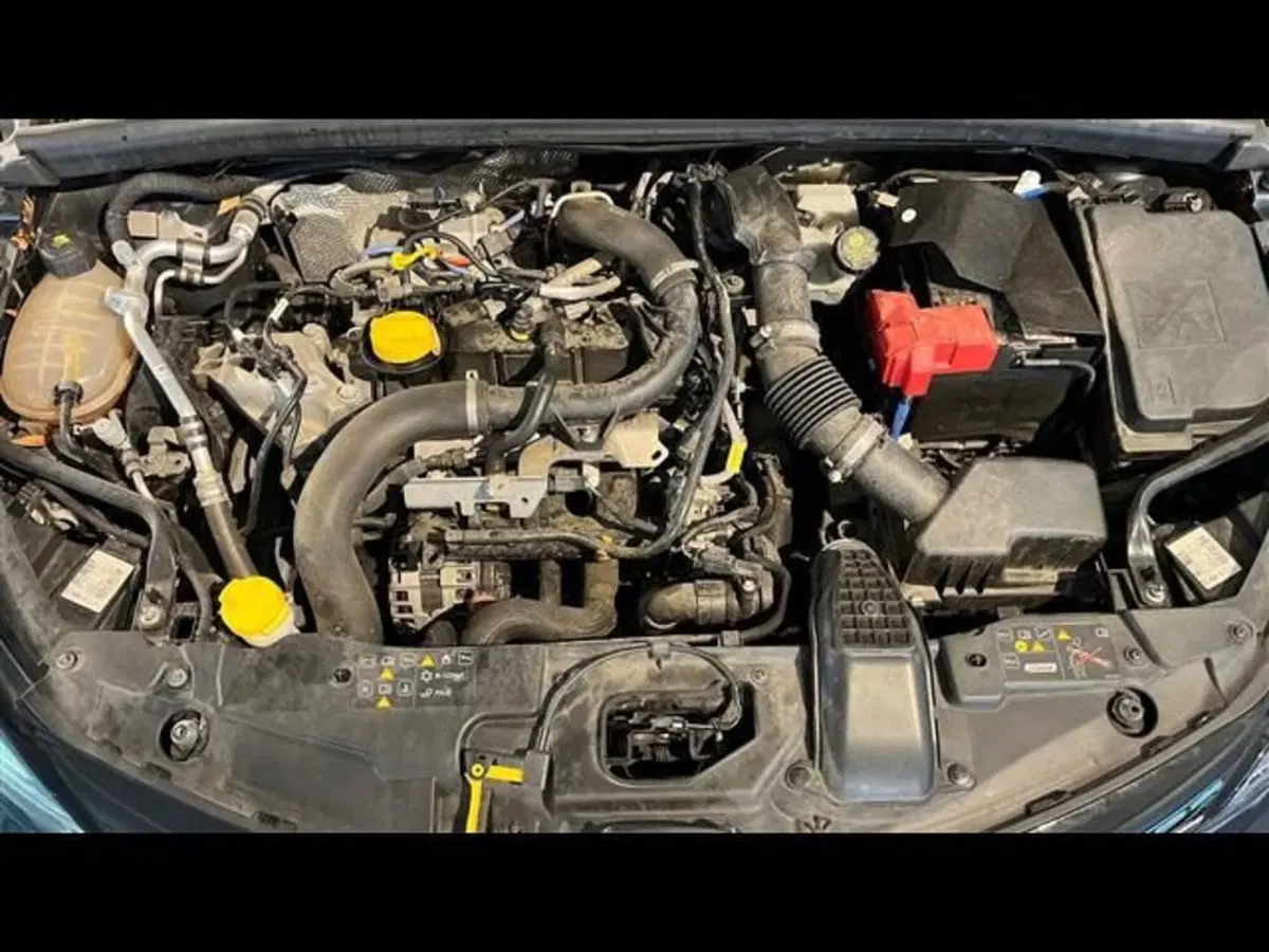 Renault Clio usata a Firenze (14)
