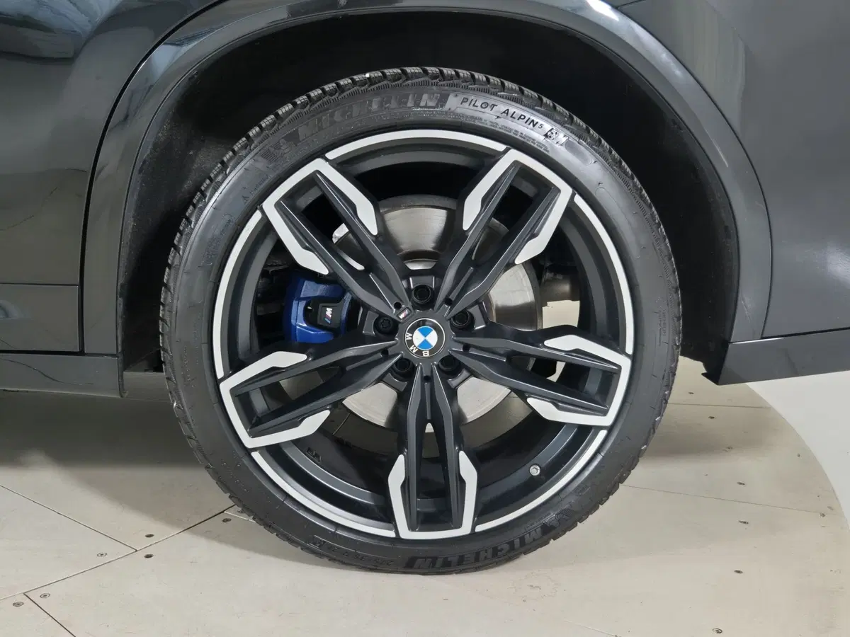 BMW X4 usata a Torino (14)