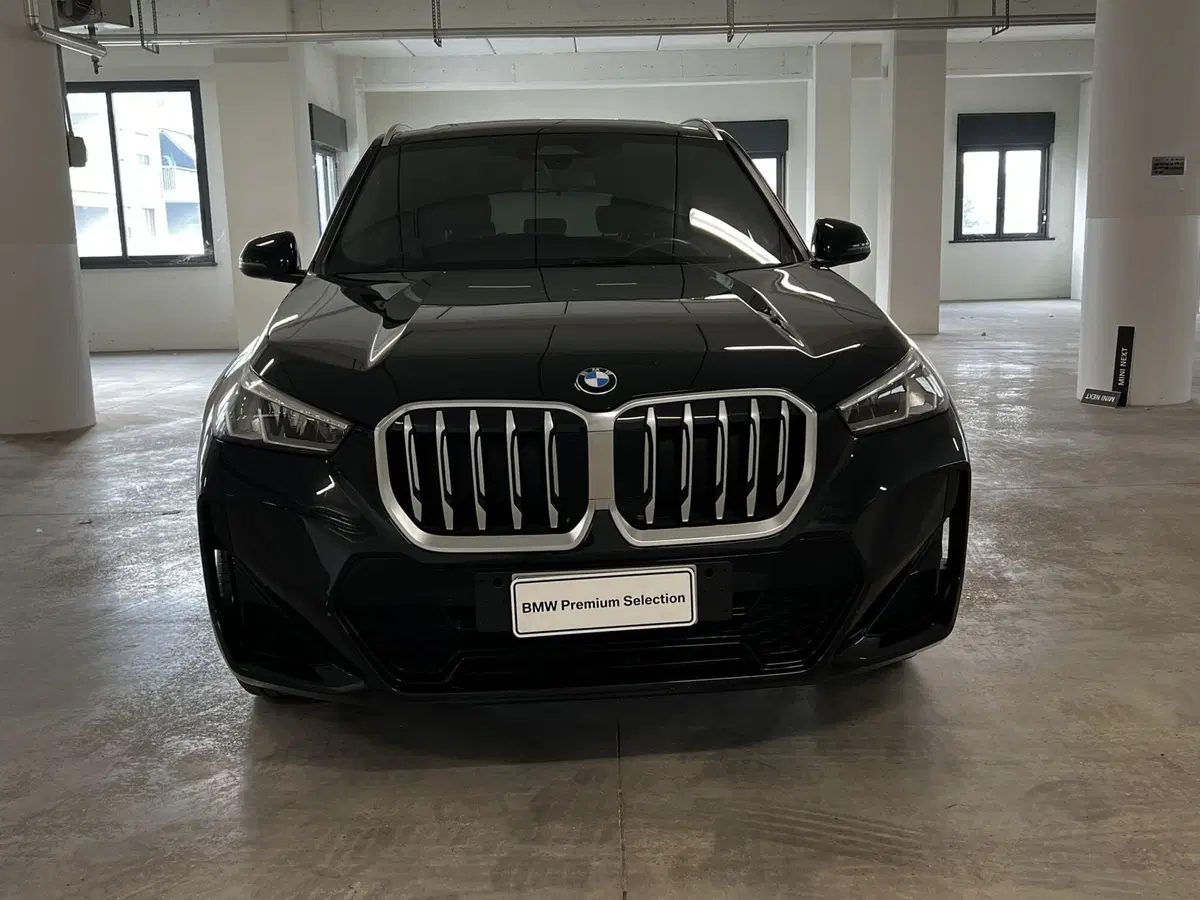 BMW X1 usata a Torino (3)