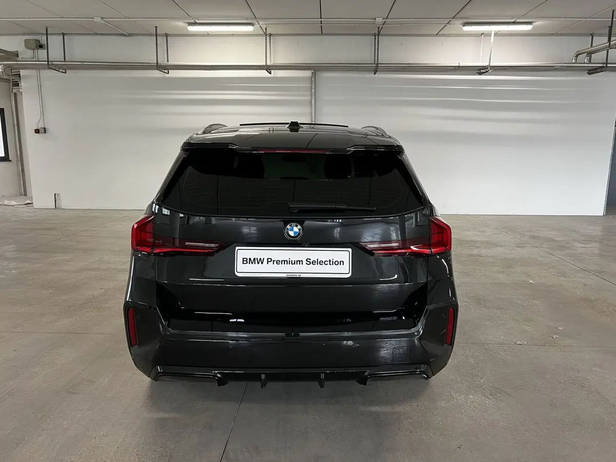 BMW X1 usata a Torino (4)