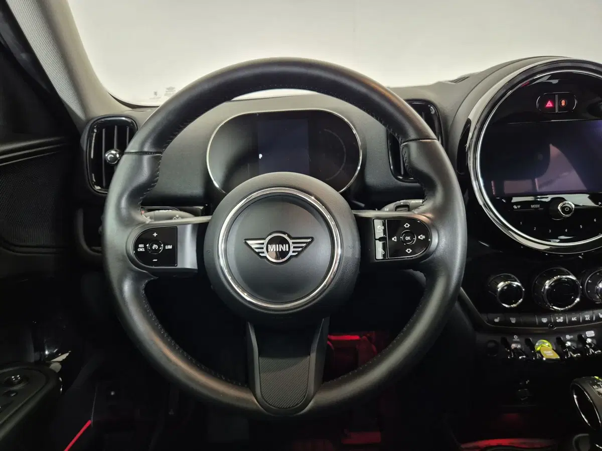MINI Mini Countryman usata a Torino (10)