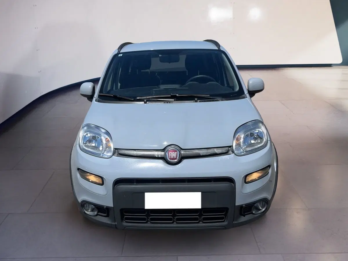 Fiat Panda usata a Torino