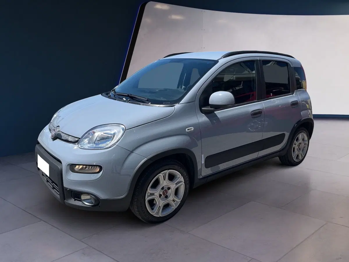 Fiat Panda usata a Torino (2)