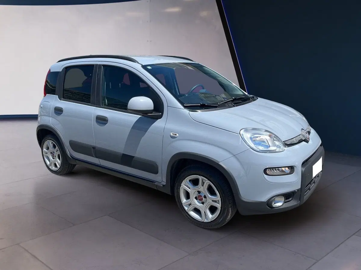 Fiat Panda usata a Torino (3)