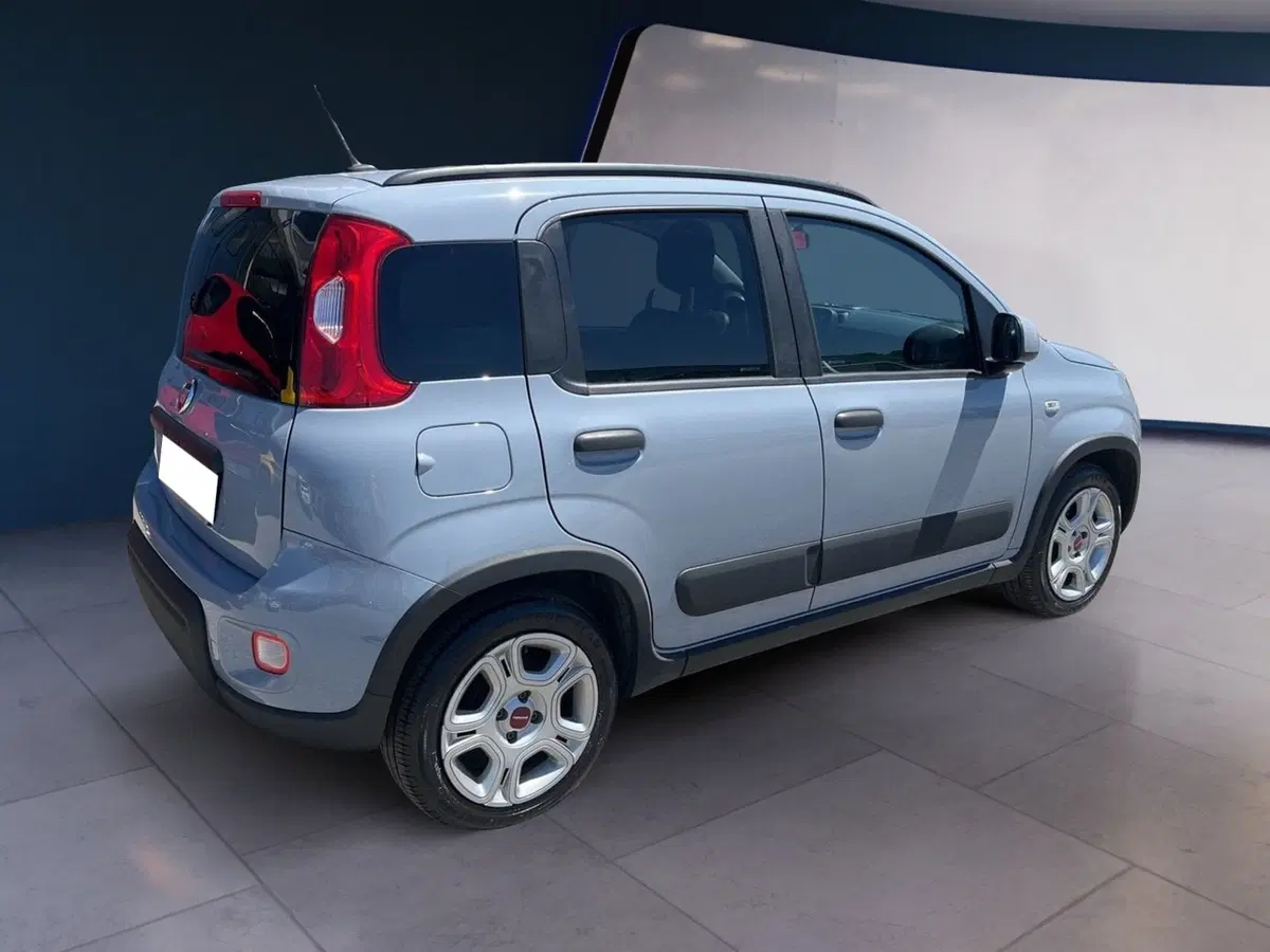 Fiat Panda usata a Torino (4)