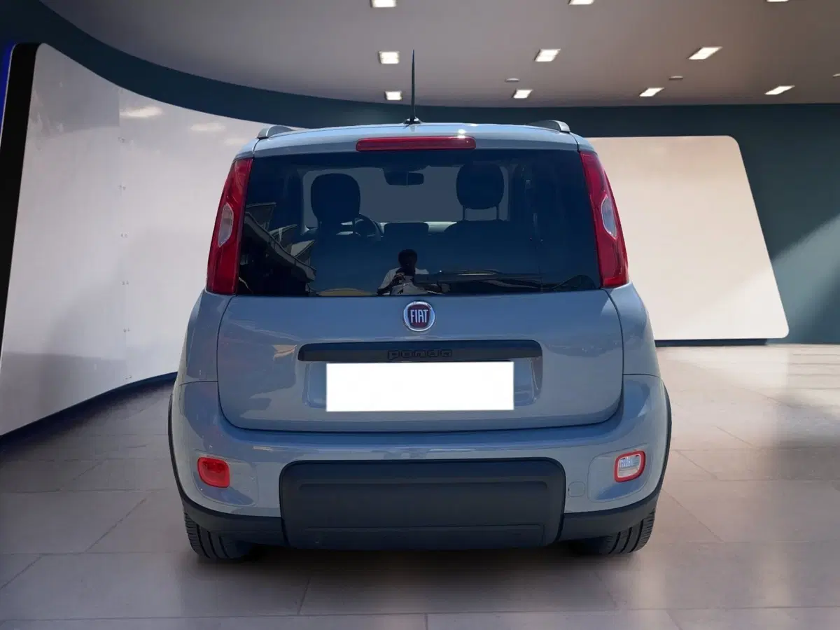 Fiat Panda usata a Torino (5)