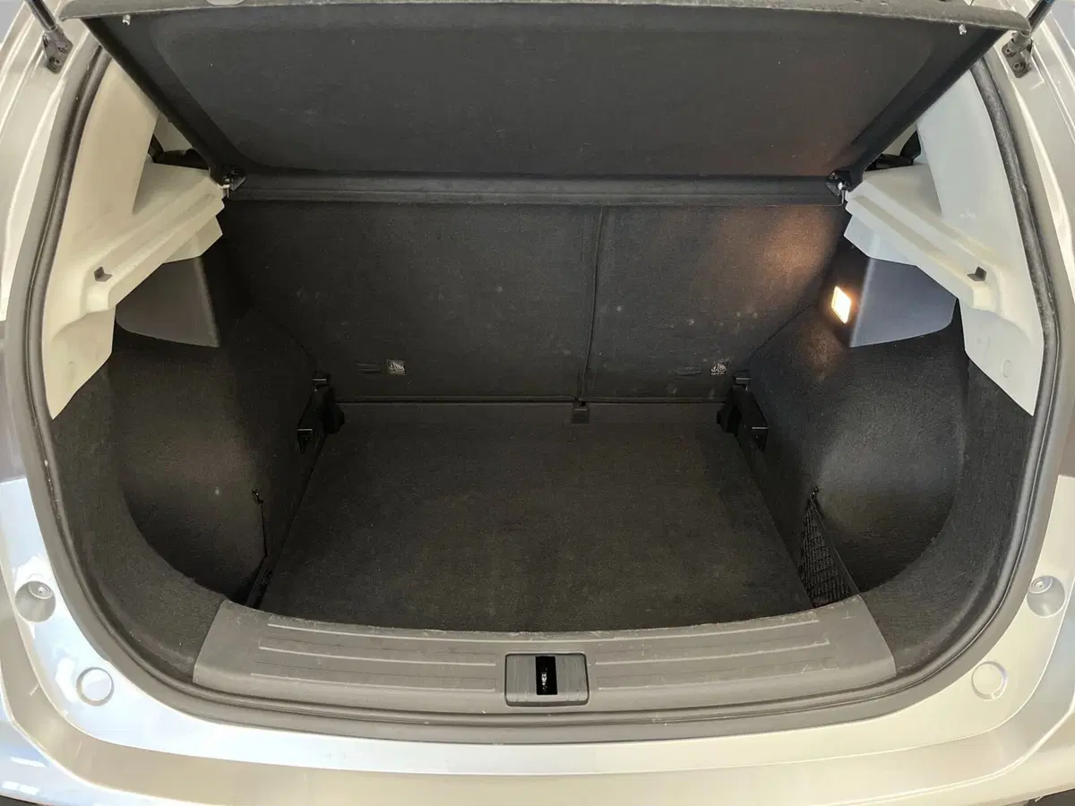 Mg ZS usata a Bergamo (15)