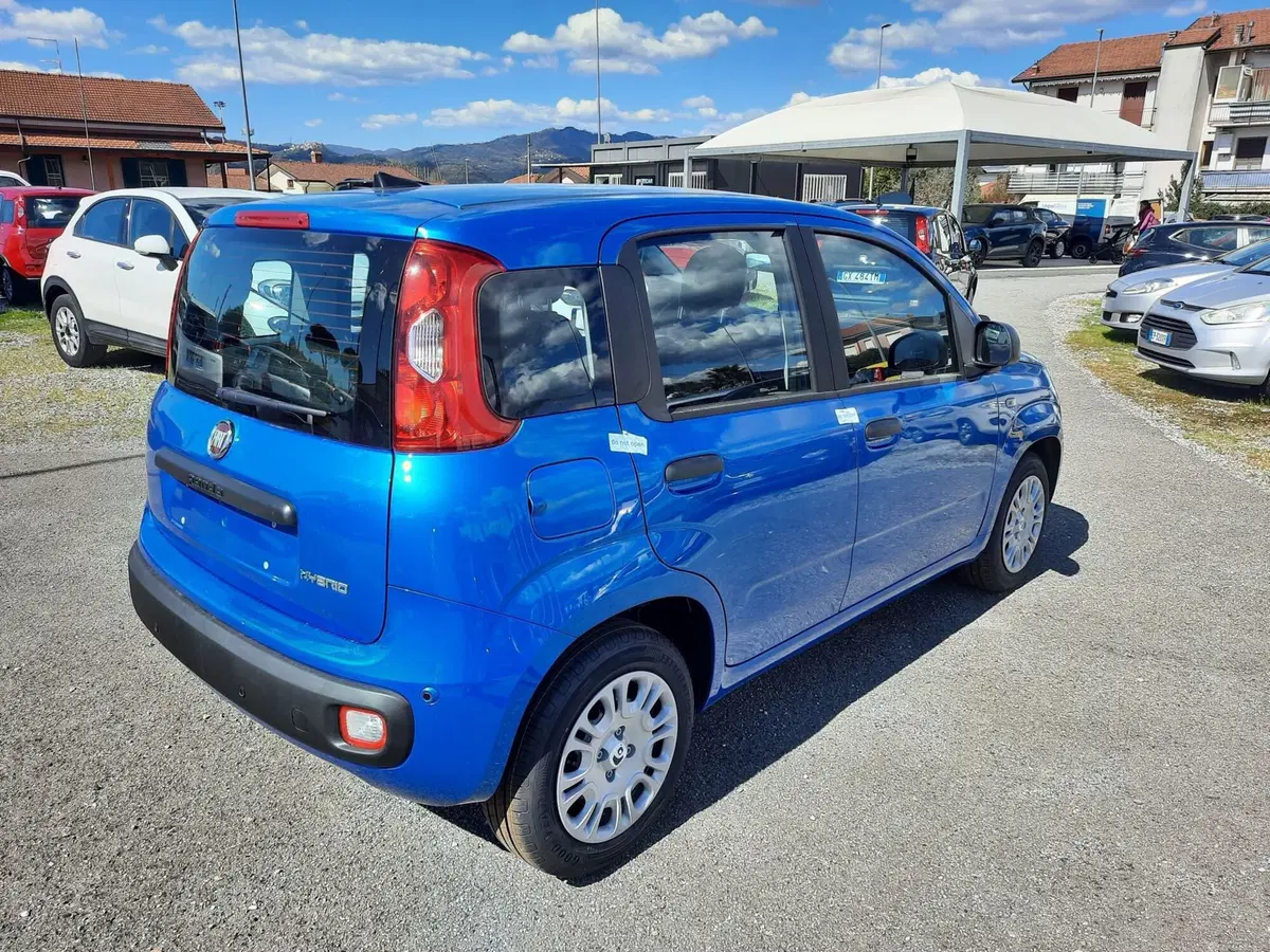 Fiat Pandina nuova a La Spezia (7)