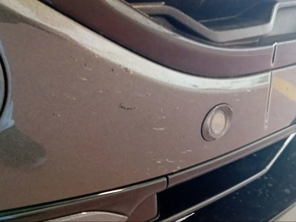Ford Kuga usata a Firenze (20)
