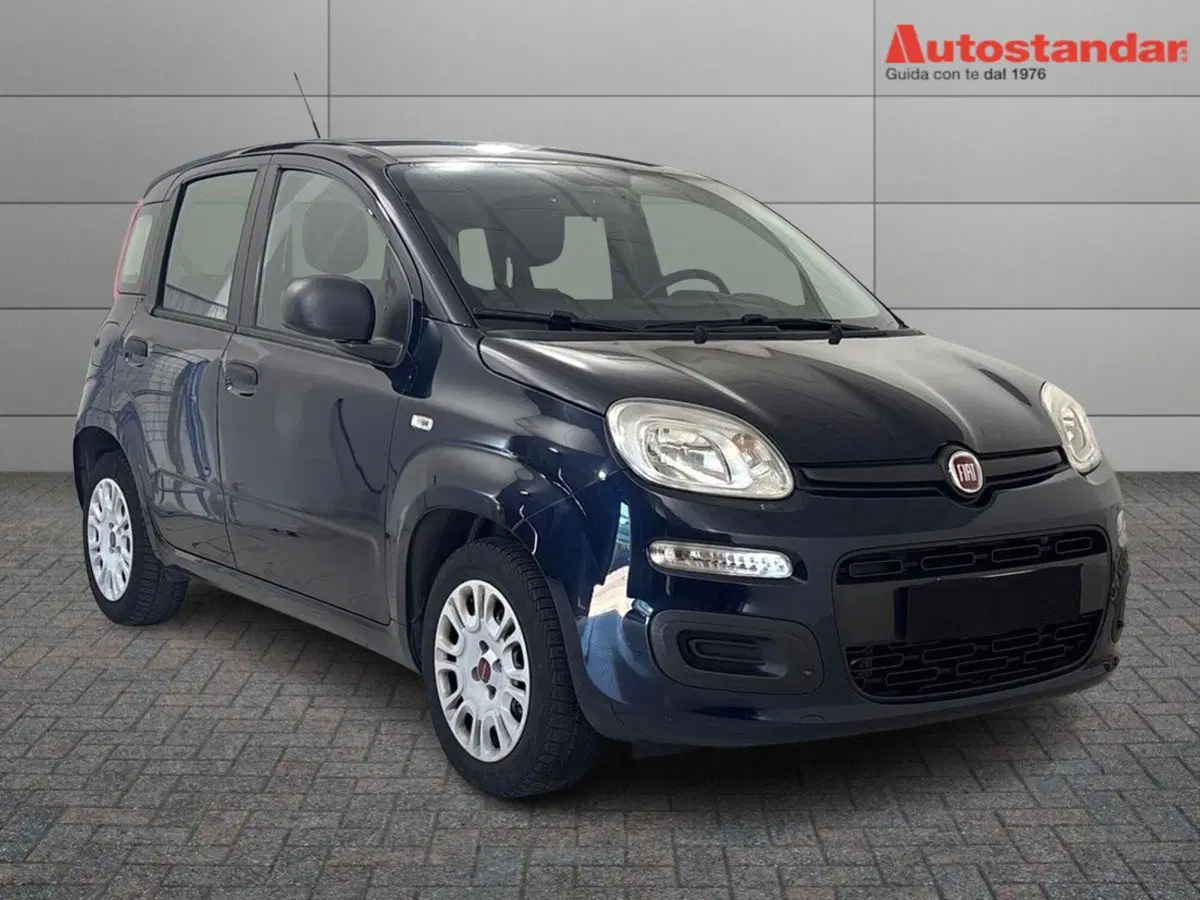 Fiat Panda usata a Torino (3)