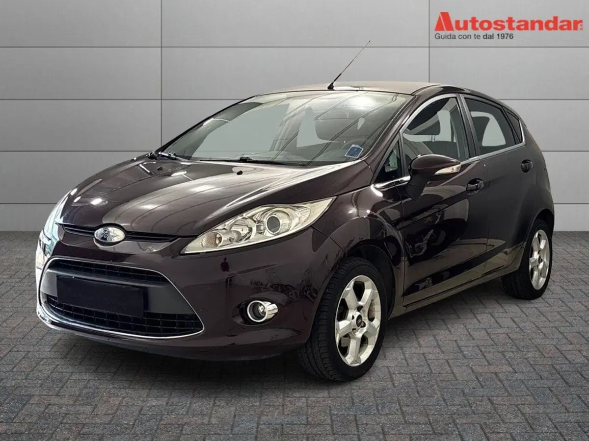 Ford Fiesta usata a Torino