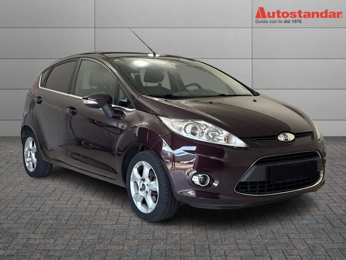 Ford Fiesta usata a Torino (2)