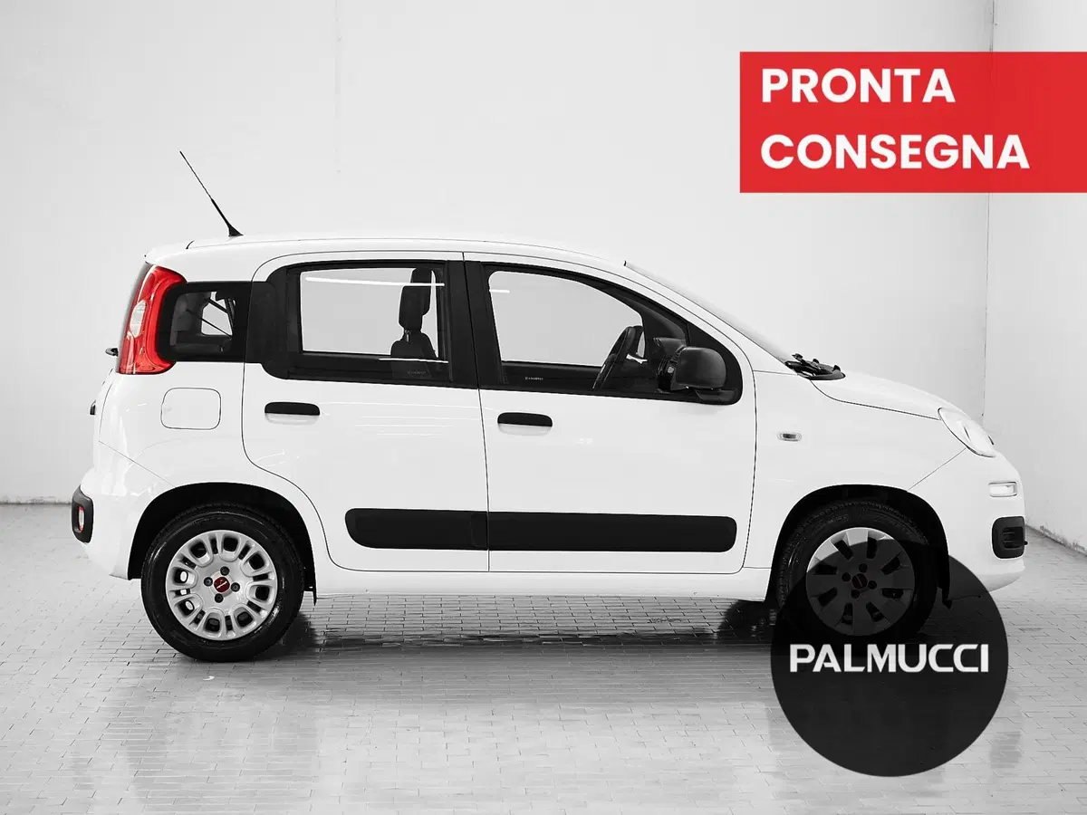 Fiat Panda usata a Prato (4)