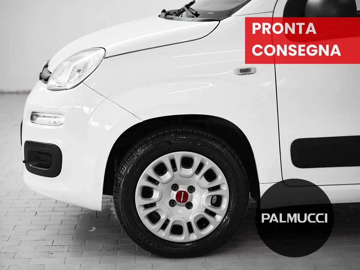 Fiat Panda usata a Prato (6)