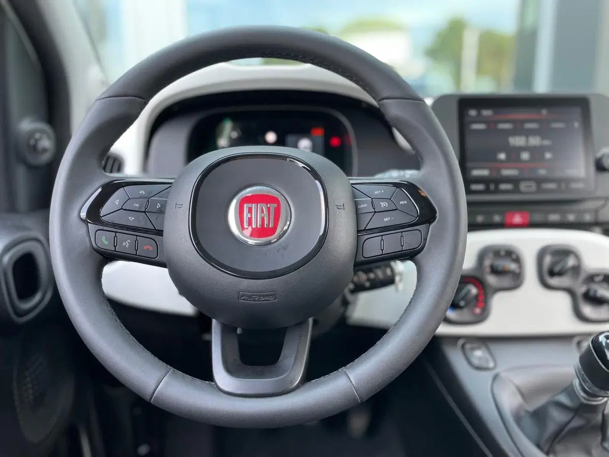 Fiat Panda Cross usata a Ancona (11)