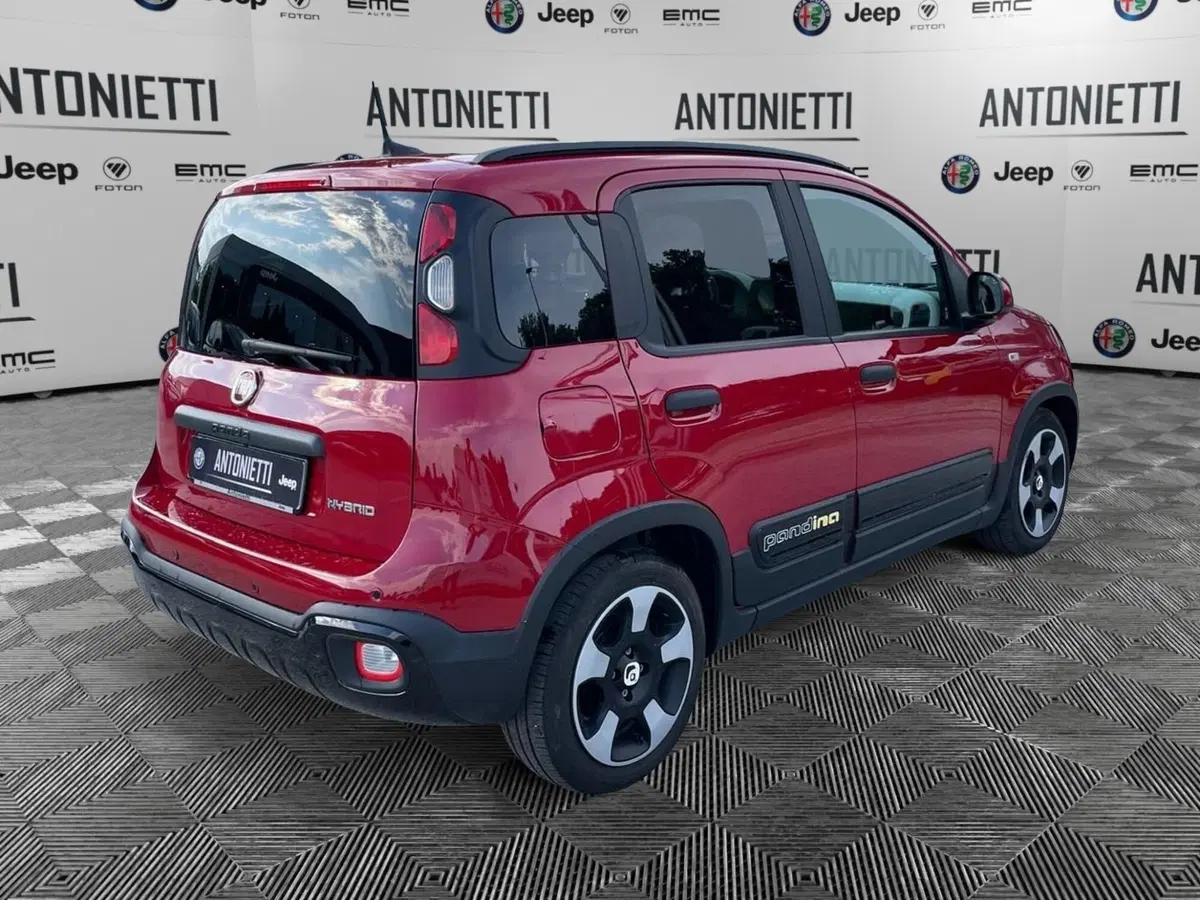 Fiat Panda Cross usata a Ancona (5)